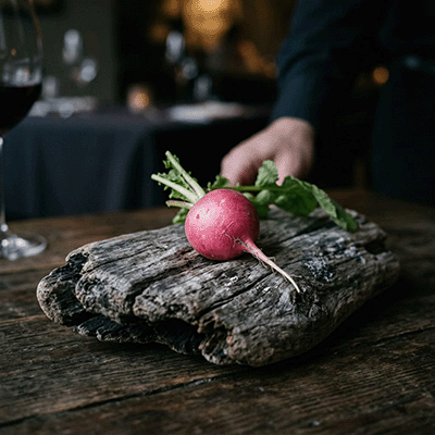 It sat on its driftwood like a small pink accusation.